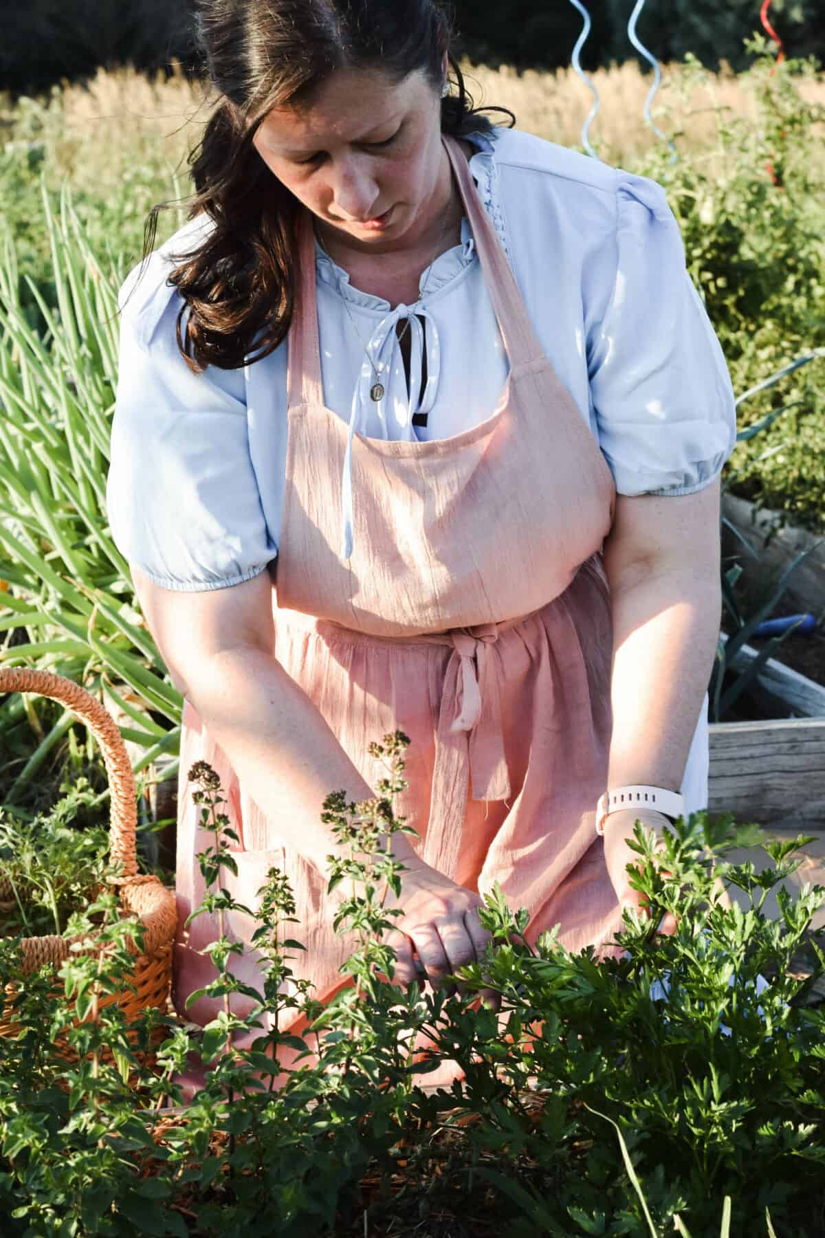 Mary cutting herbs in raised beds.