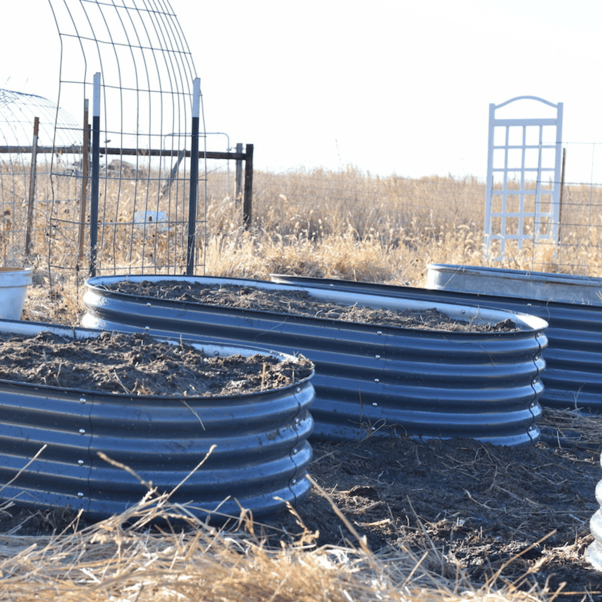 grey raised beds in the garden.