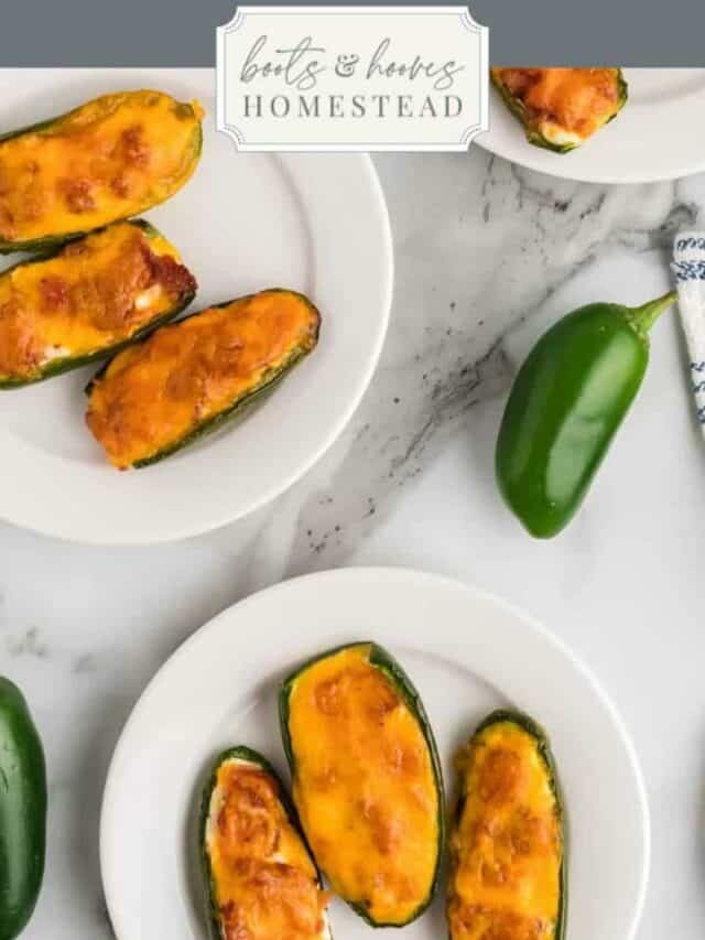 Keto Friendly Air Fryer Jalapeno Poppers