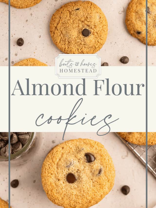 Easy & Delicious Almond Flour Chocolate Chip Cookies