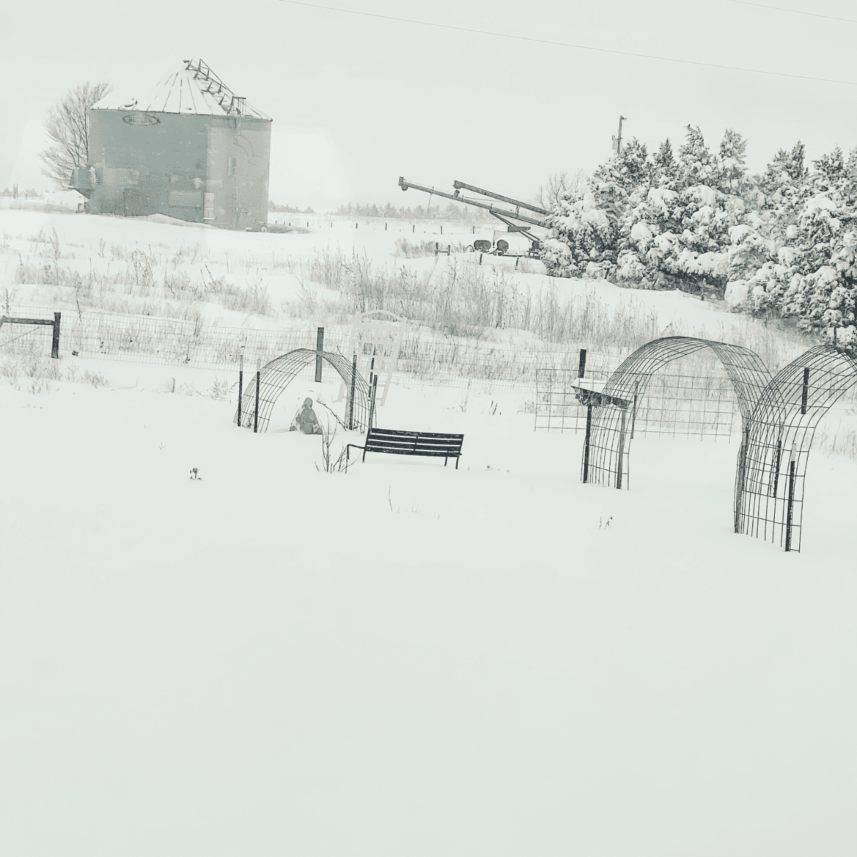 snow covered garden with grain bin in background. 