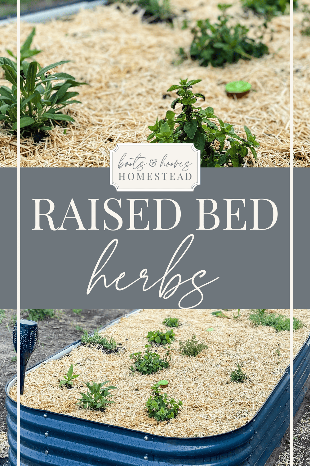 raised bed with herbs and garden straw.