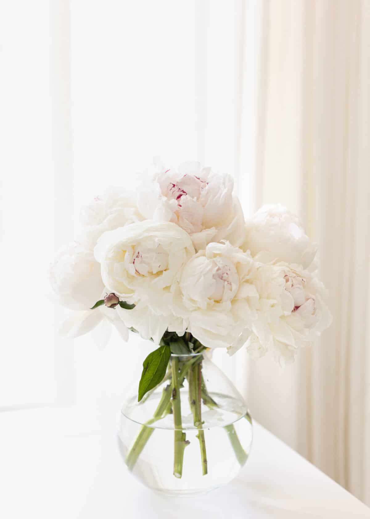 peony flowers in a clear vase.