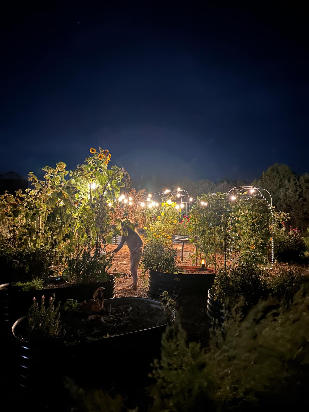 little girl in the garden at night with the string lights. 