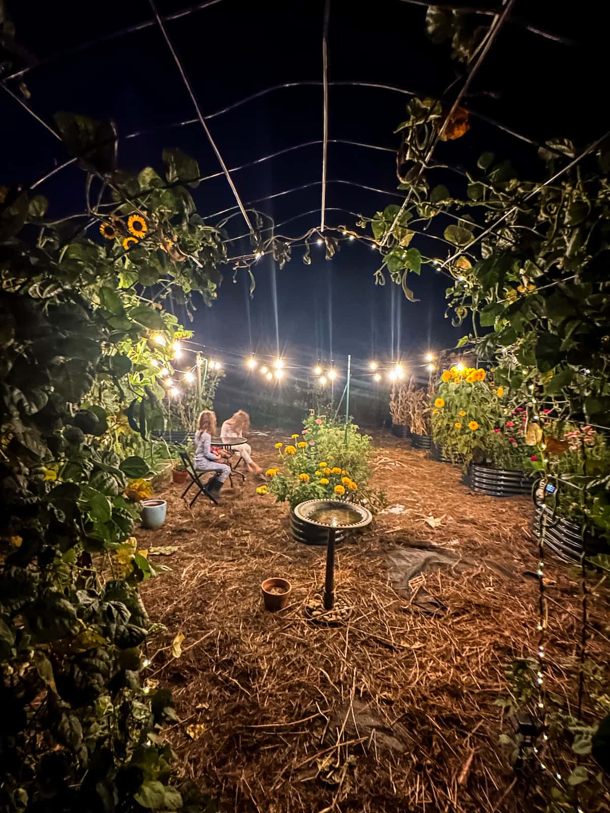 girls sitting on chairs in the garden with string lights overhead at night.