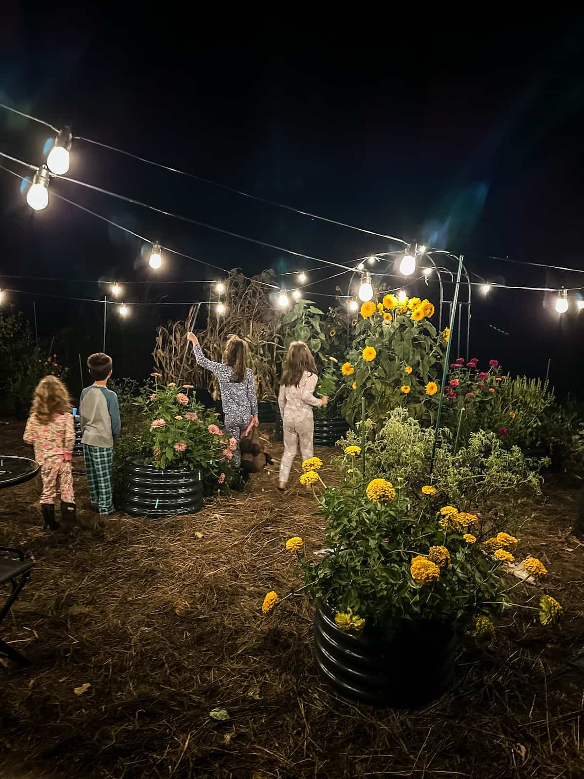 children in the garden at night with string lights.
