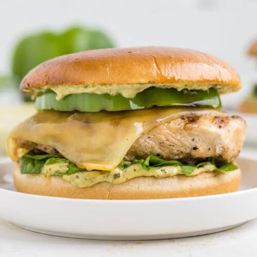 grilled chicken burger with pesto mayo on a white plate.
