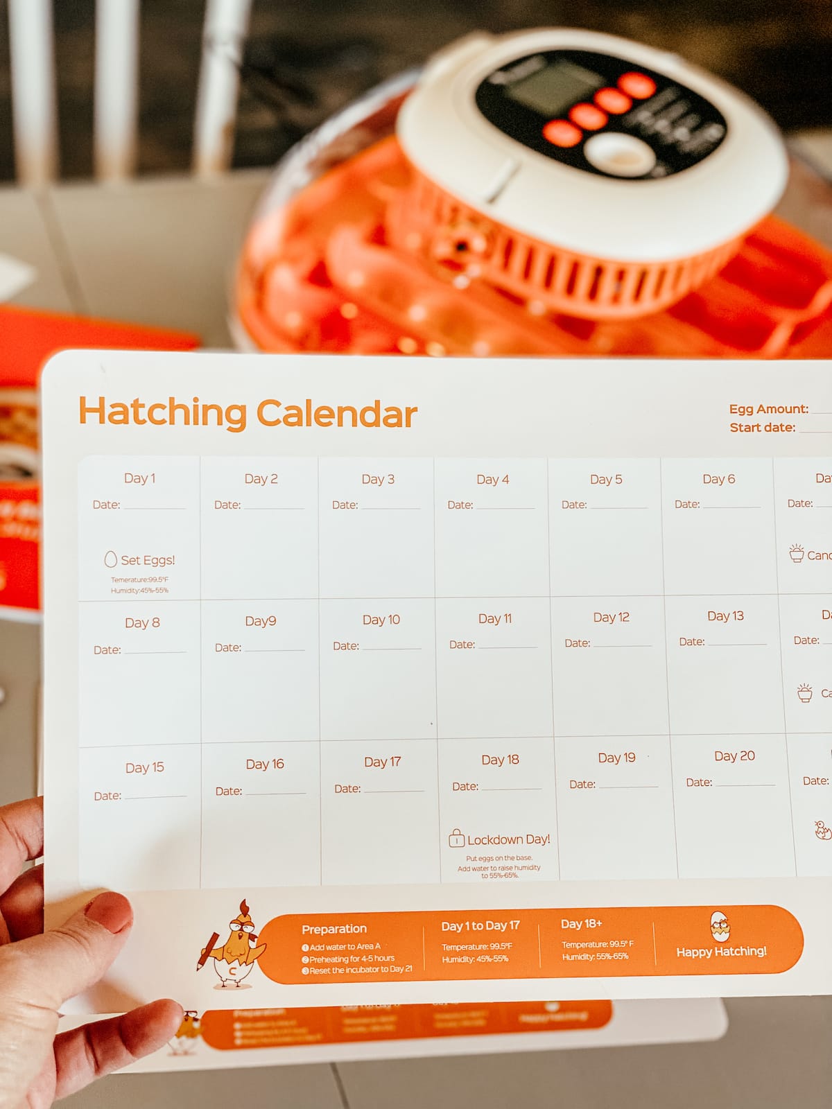 image of hatching calendar for chicken egg incubator. 