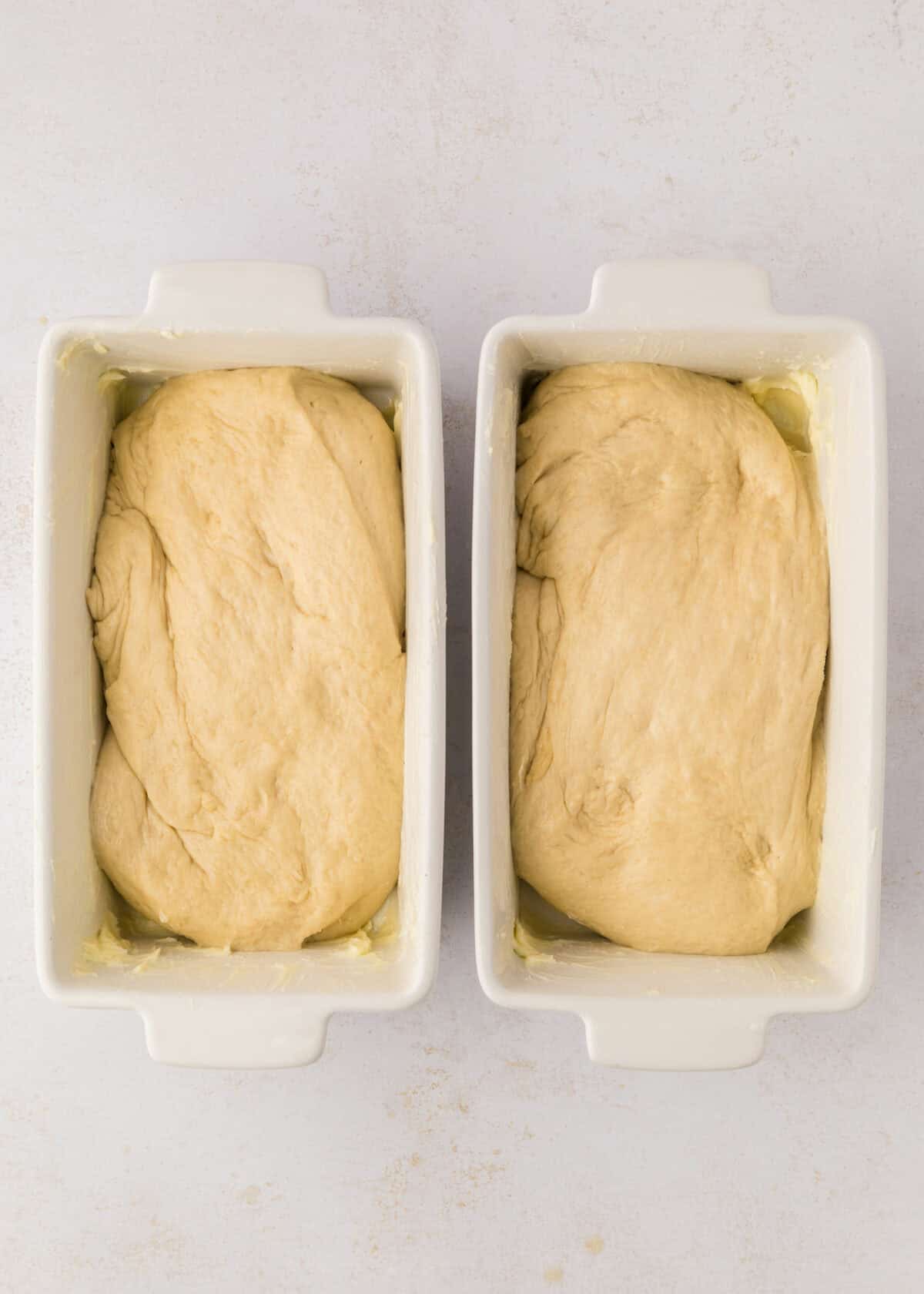 shaped loaves in loaf pans. 