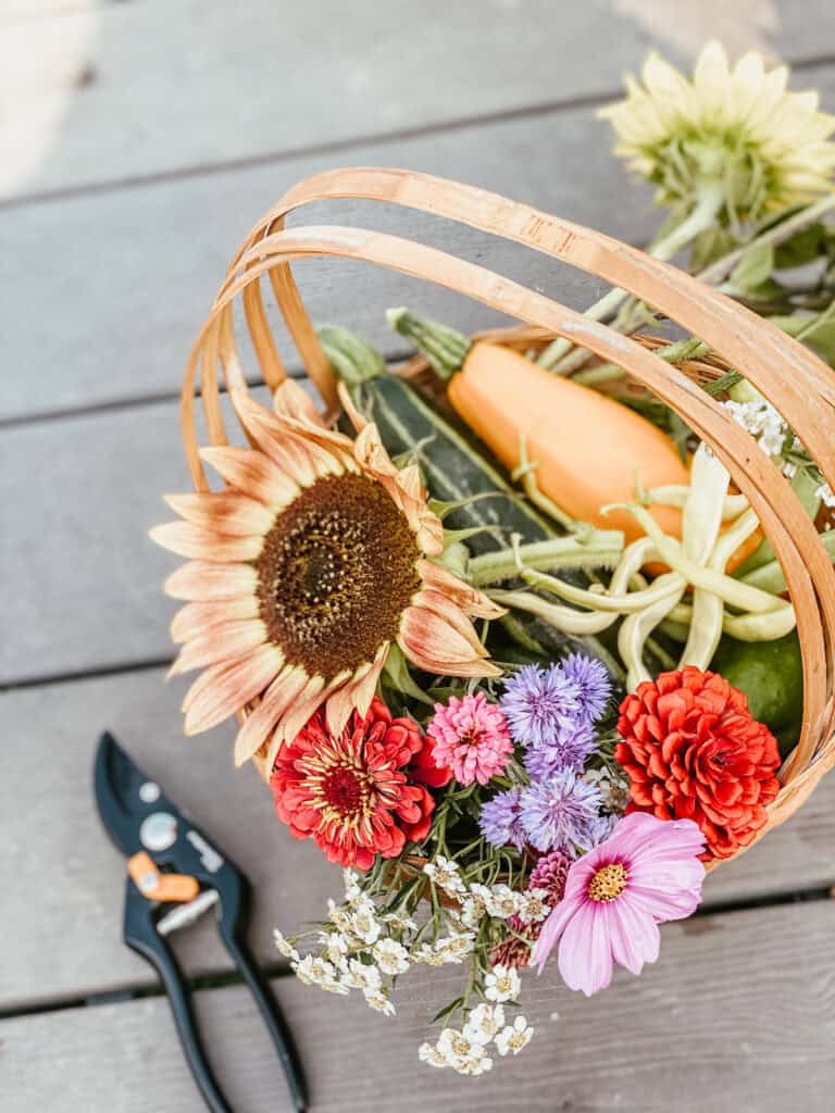 basket harvest of flowers and veggies