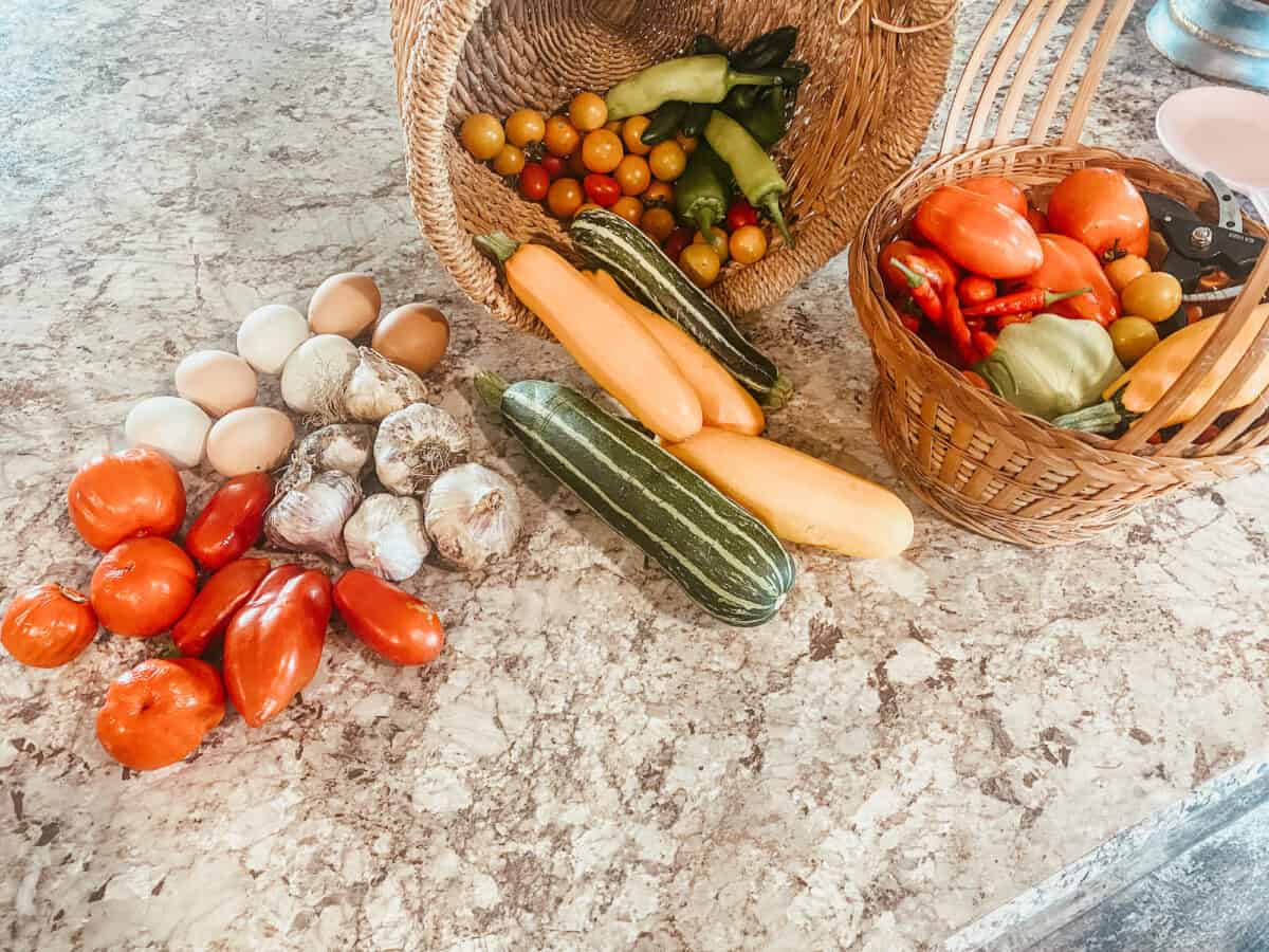 baskets full of garden harvest on the counter.