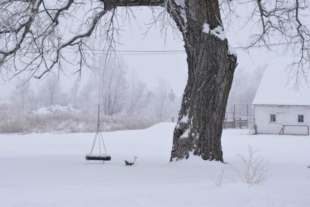 barn and farm covered in snow in the winter. 