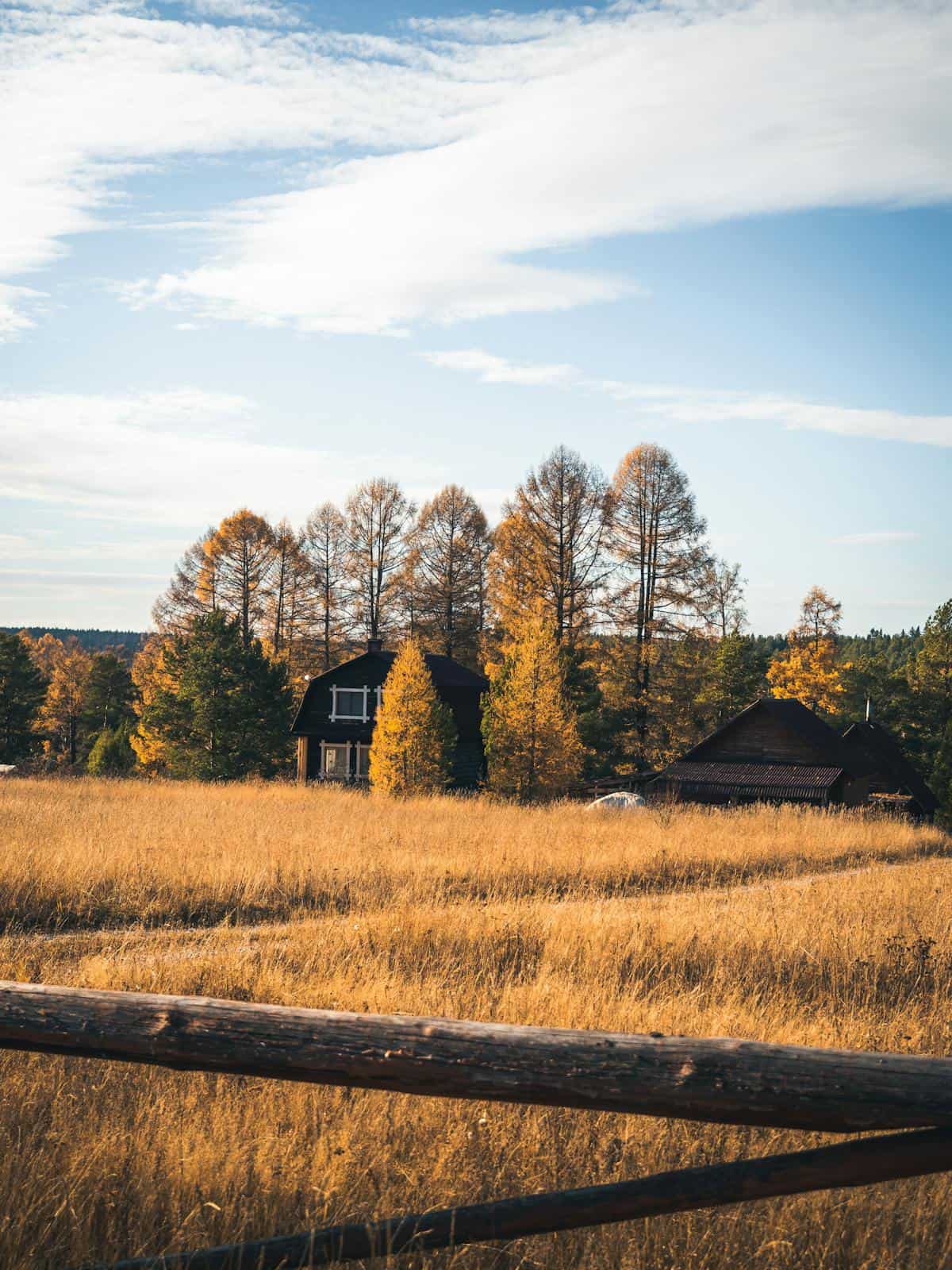 A picturesque autumn scene featuring a barn surrounded by golden fields and trees.