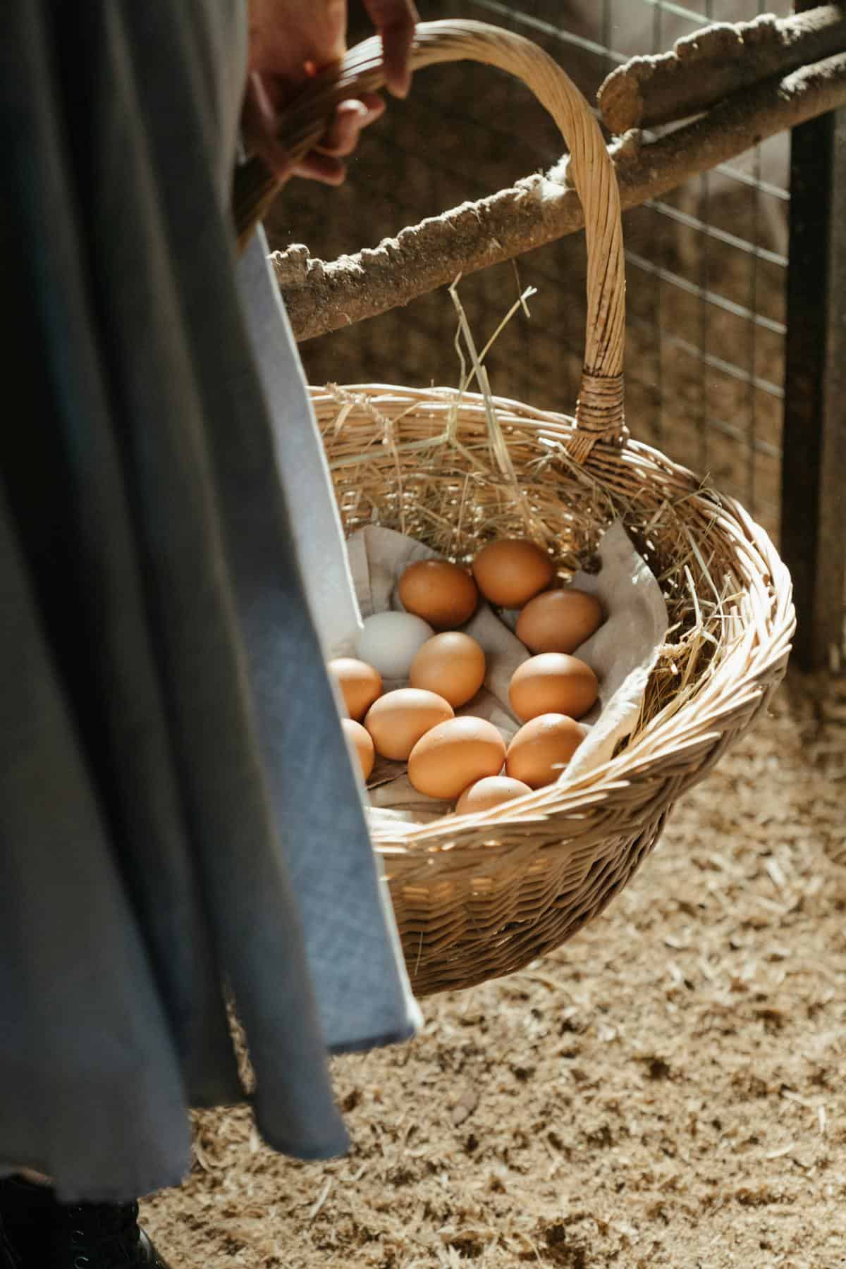 A rustic wicker basket filled with fresh eggs inside a barn setting, emphasizing farm life.